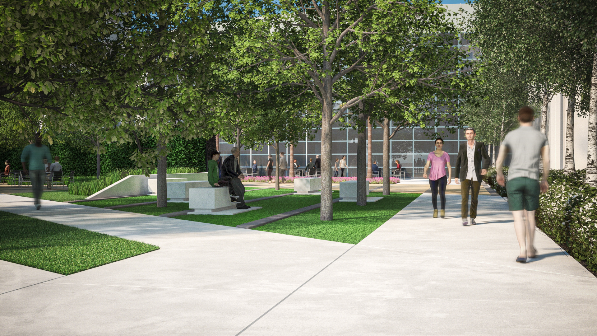 Courtyard Benches on Turf